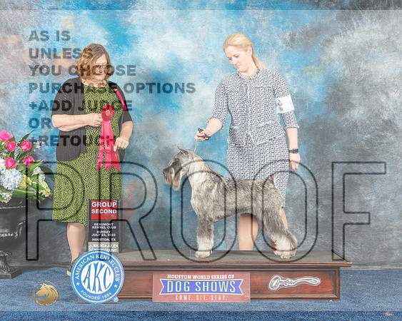 Schnauzer Std #26 Sun G2 Judge Elizabeth Muthard-MJP_8087-Hstn2023_HR3