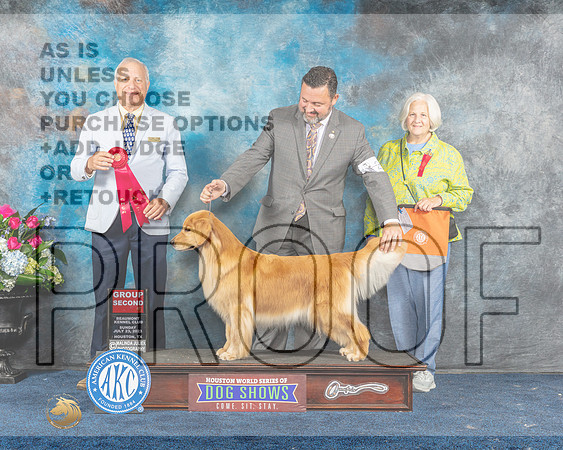 Golden Retriever #20 Sun G2 Judge Dr Eric Liebes-MJP_7908e-HStn2023_HR3
