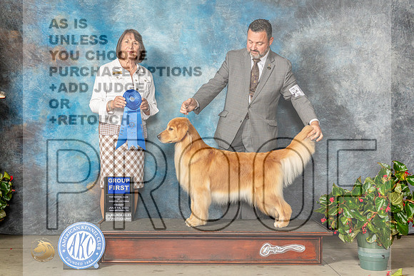 Golden Retriever #48 Fri G1 Judge Helene Nietsch-MJP_8134e-SA2023_HR3