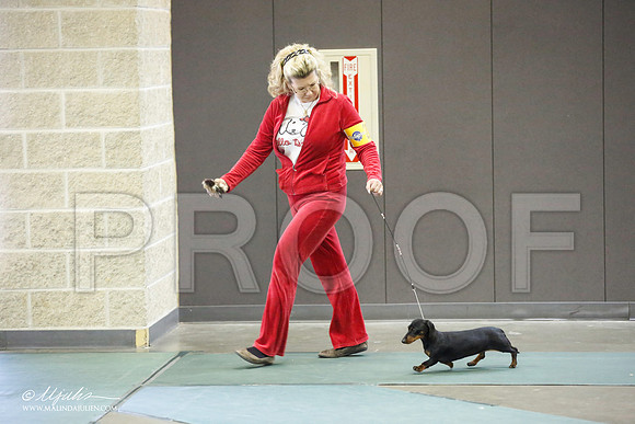 _JN_3955-BeltonJan2015-HR3