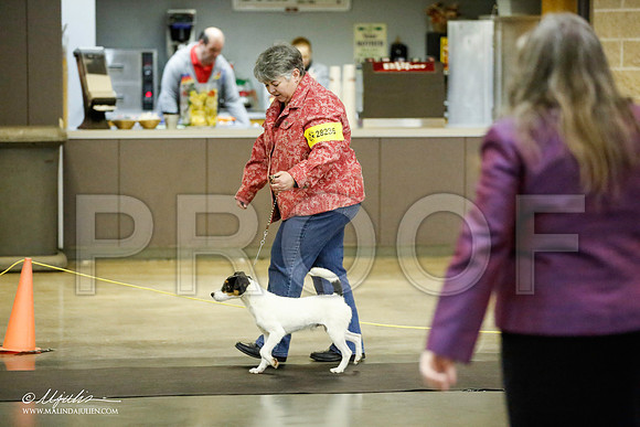 _JJ_5975-BeltonJan2015IABCA-HR3