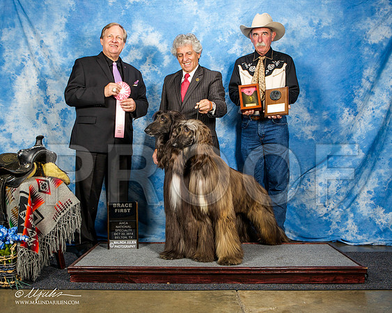 _ST_4621-AfgBeltonOct2014-HR3