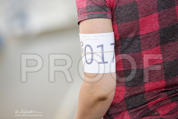_JN_8546-DallasJul2014-HR3