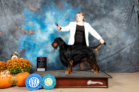 Gordon Setter  #5 Sun BOS Judge Del Richards r