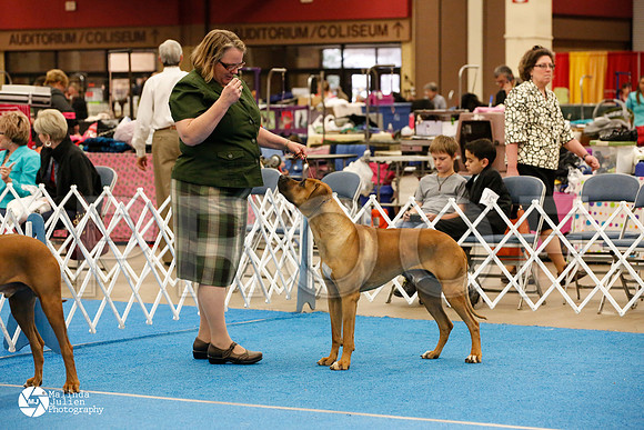 RHOD-0299-FWMar14-HR