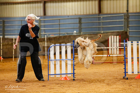 _MJ_2571-AfgBeltonOct2014-HR3