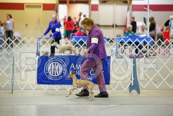_JJ_8431-AmarilloSept2014-HR3
