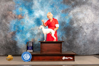 Italian Greyhound #7 THUR  SD Major Judge Jeffery Bazell