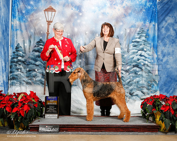 _ST_9368-2-DallasDec2014-HR3