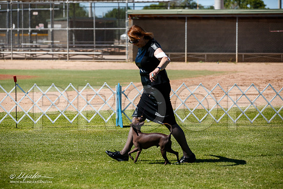 _JJ_8212-AlamogordoOct2014-HR3