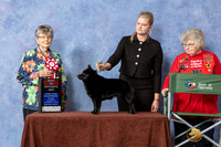 #58 BOS  Judge Doris Cozart