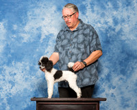 Poodle Sat John Booth
