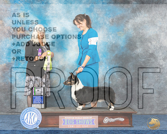 Cardigan Welsh Corgi #25 Wed BIS RES Judge Merickel Judge Del RichardsMJP_0759_Hstn2023_HR3