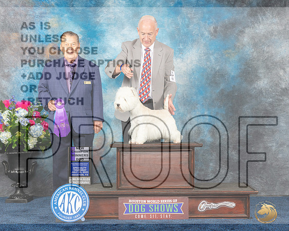 West Highland White Terrier #5 Thurs 1st BB WD NC Judge Del RichardsMJP_2448e_Hstn2023_HR3