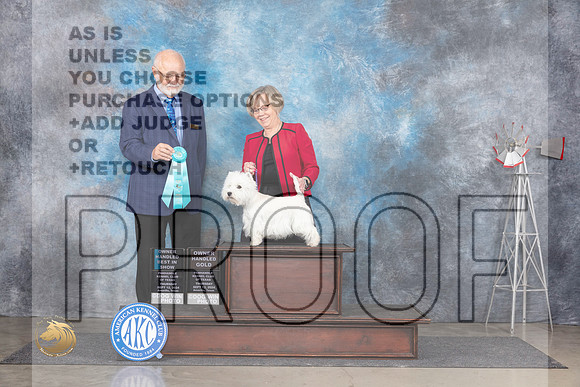 West Highland White Terrier #6 Thurs OHBIS Judge Gary Andersen__JP_5126_Amarillo_2024_HR3