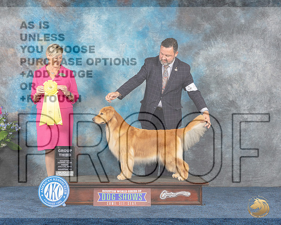 Golden Retriever #20 Fri G3 Judge Cheryl PattersonMJP_4751e_Hstn2023_HR3