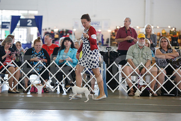 _JJ_3301-DallasJul2014-HR3
