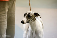 Best in Show Altered Sat S1 Ring
