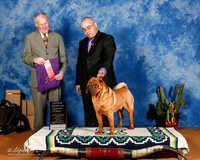 Chinese Shar Pei #5 Fri OH G1 +A1