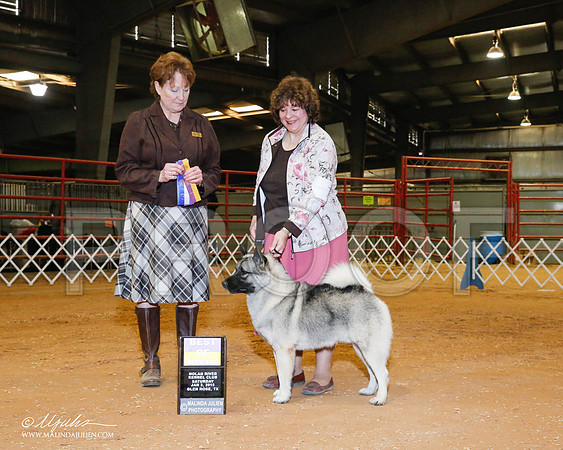 _RH_8866-2-GlenRoseJan2015-HR3