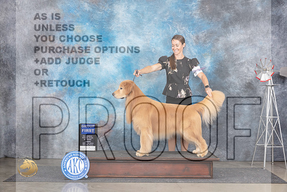 Golden Retriever #11 Fri G1 Judge Pat Trotter__JP_5628_Amarillo_2024_HR3