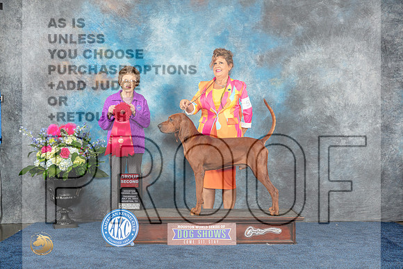 Rebone Coonhound #5 Thur G2 Judge Pat Trotter-MJP_3145-Hstn2023_HR3