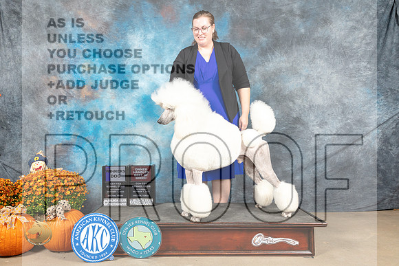 Poodle Std #11 Sat BOWOHBOB Judge Donelle Richards_MJ_5997_Belton_2022_HR3