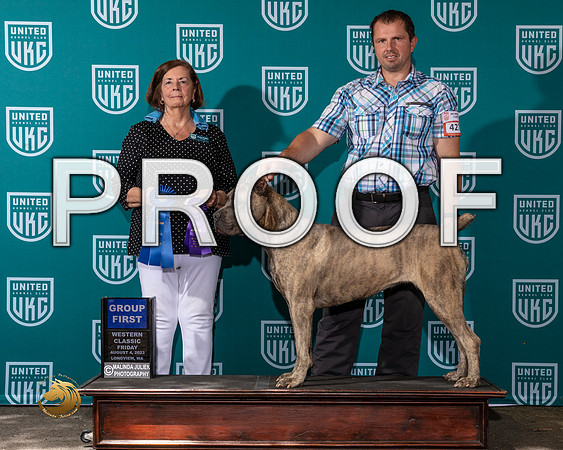 Cane Corso #427 Fri G1 Judge Sandi PhillipsMJP_8616_WA2023_HR3