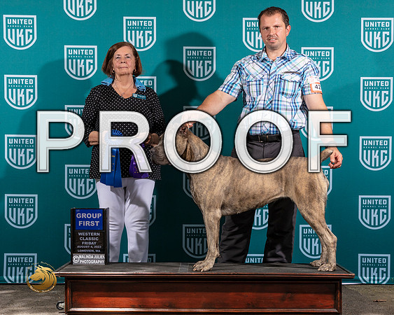 Cane Corso #427 Fri G1 Judge Sandi PhillipsMJP_8614_WA2023_HR3