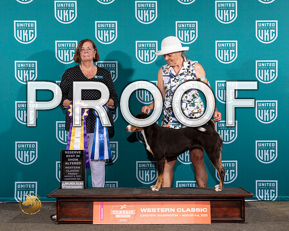 Appenzeller #273 ARBIS Judge Sandi PhillipsMJP_8697_WA2023_HR3