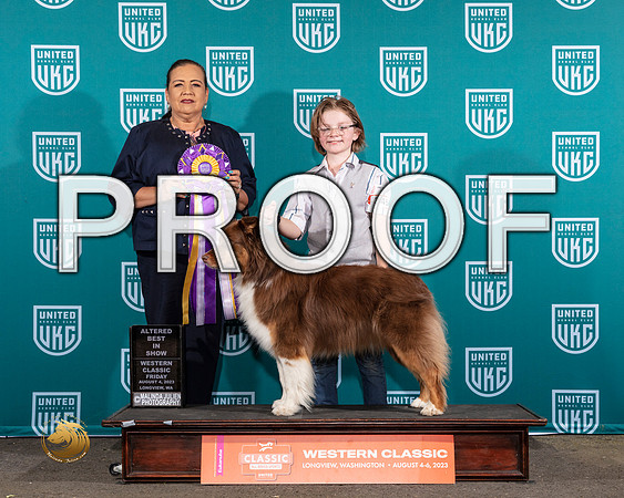 Australian Shepherd #345 Fri ABIS Judge Michelle Blackowl ChavezMJP_8716_WA2023_HR3