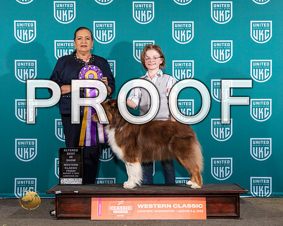 Australian Shepherd #345 Fri ABIS Judge Michelle Blackowl ChavezMJP_8718_WA2023_HR3