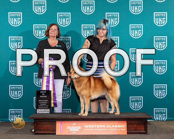 Finnish Spitz #400 Fri BIS Judge Sandi PhillipsMJP_8702_WA2023_HR3