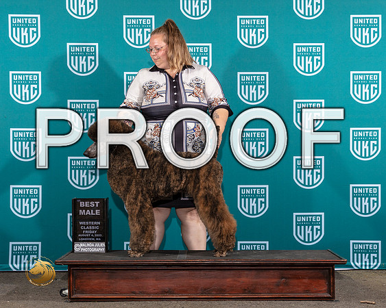 Poodle Std #114 Fri BM Judge Sandi PhillipsMJP_8644_WA2023_HR3