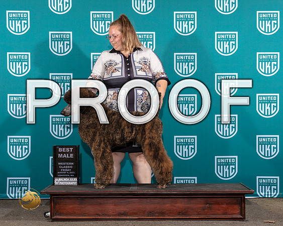 Poodle Std #114 Fri BM Judge Sandi PhillipsMJP_8647_WA2023_HR3