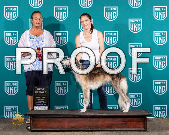 Silken Windhound #441 Fri BF Judge Valerie PiltzMJP_8631_WA2023_HR3