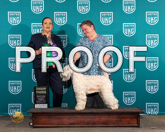 Soft Coated Wheaten Terrier #181 Fri G3 Judge Michelle Blackowl ChavezMJP_8654_WA2023_HR3