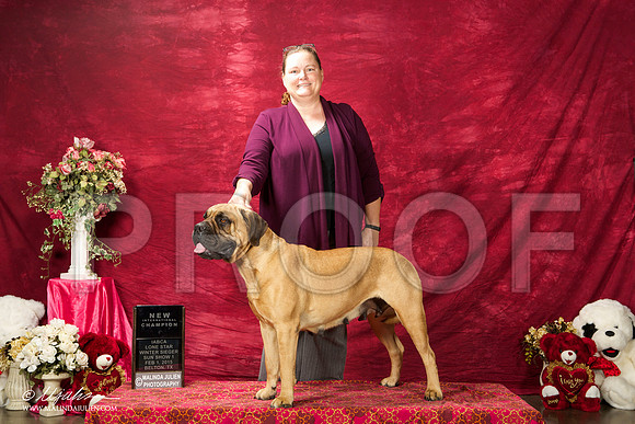 _ST_2878-BeltonJan2015IABCA-HR3
