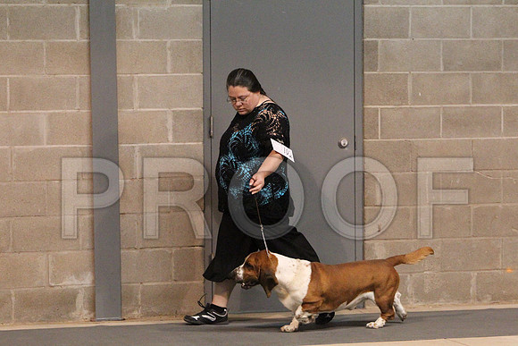 BassetCCL_1391LR