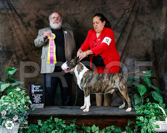 _M3_4852-2-AzleMar14-HR