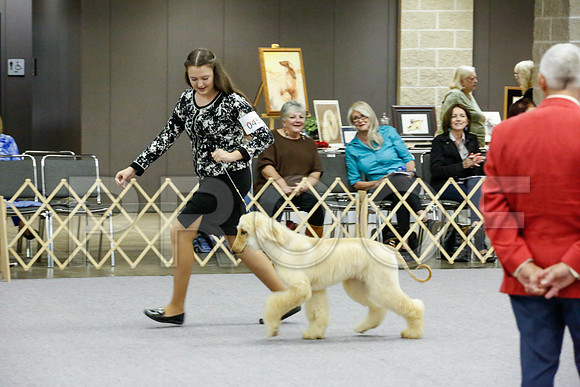 _JJ_8579-AfgBeltonOct2014-HR3