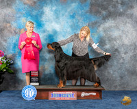Anne Wheeland Houston 2023