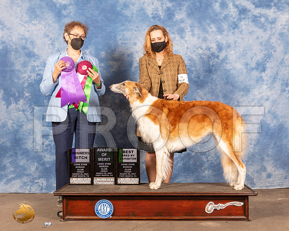 Borzoi #20 Fri WB AOM BBX Judge Sandra MooreMMJ_0166_FWKC21-HR3