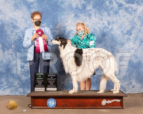 Borzoi #22 Fri AOM BOS Judge Sandra MooreMMJ_0170_FWKC21-HR3