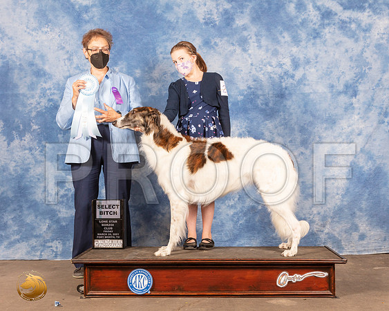 Borzoi #24 Fri SB Judge Sandra MooreMMJ_0191_FWKC21-HR3