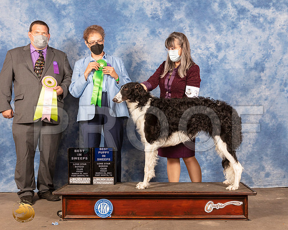 Borzoi #32 Fri BPuppy BISweeps Judge Chad Sillers Judge Sandra MooreMMJ_0182_FWKC21-HR3