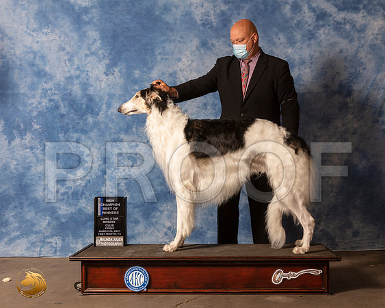 Borzoi #7 Fri BOW WD ReshootMMJ_0343_FWKC21-HR3
