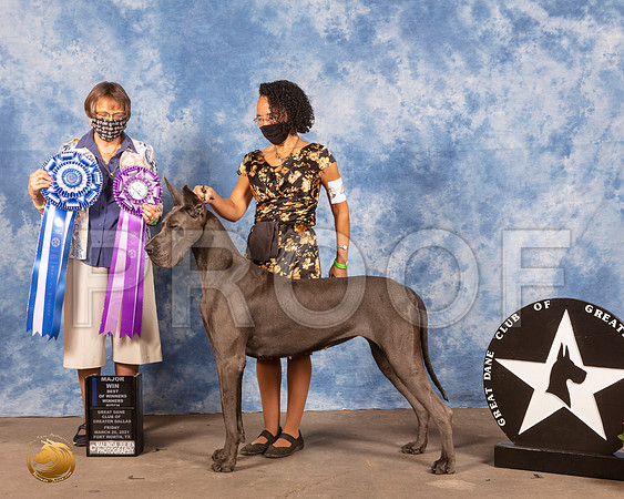 Great Dane #44 Fri BOW Judge Donna ClarkMMJ_0245_FWKC21-HR3