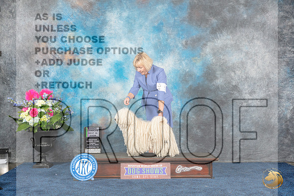 Puli #5 Fri OHBIS Judge Elizabeth Muthard rMJP_5814_Hstn2023_HR3