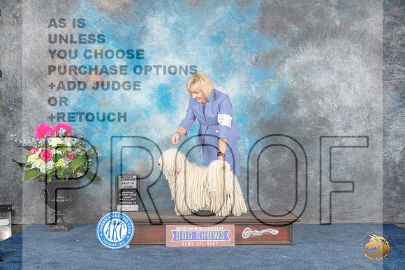 Puli #5 Fri OHBIS Judge Elizabeth Muthard rMJP_5815_Hstn2023_HR3